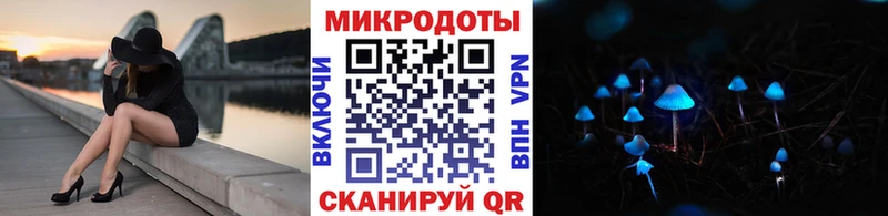 KRAKEN   Белореченск  Псилоцибиновые грибы GOLDEN TEACHER 